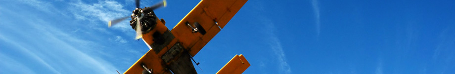 Yonked.com: Diary of a New Home Rotating Header Image
