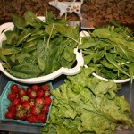 CSA Week 2: In which Joey gets his greens