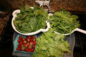 CSA Week 2: In which Joey gets his greens