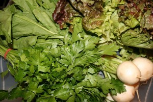 csa-haul-parsley-turnips-lettuce