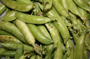 csa-haul-peas